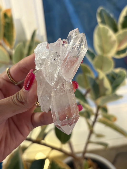 Lemurian Quartz Cluster : QC3