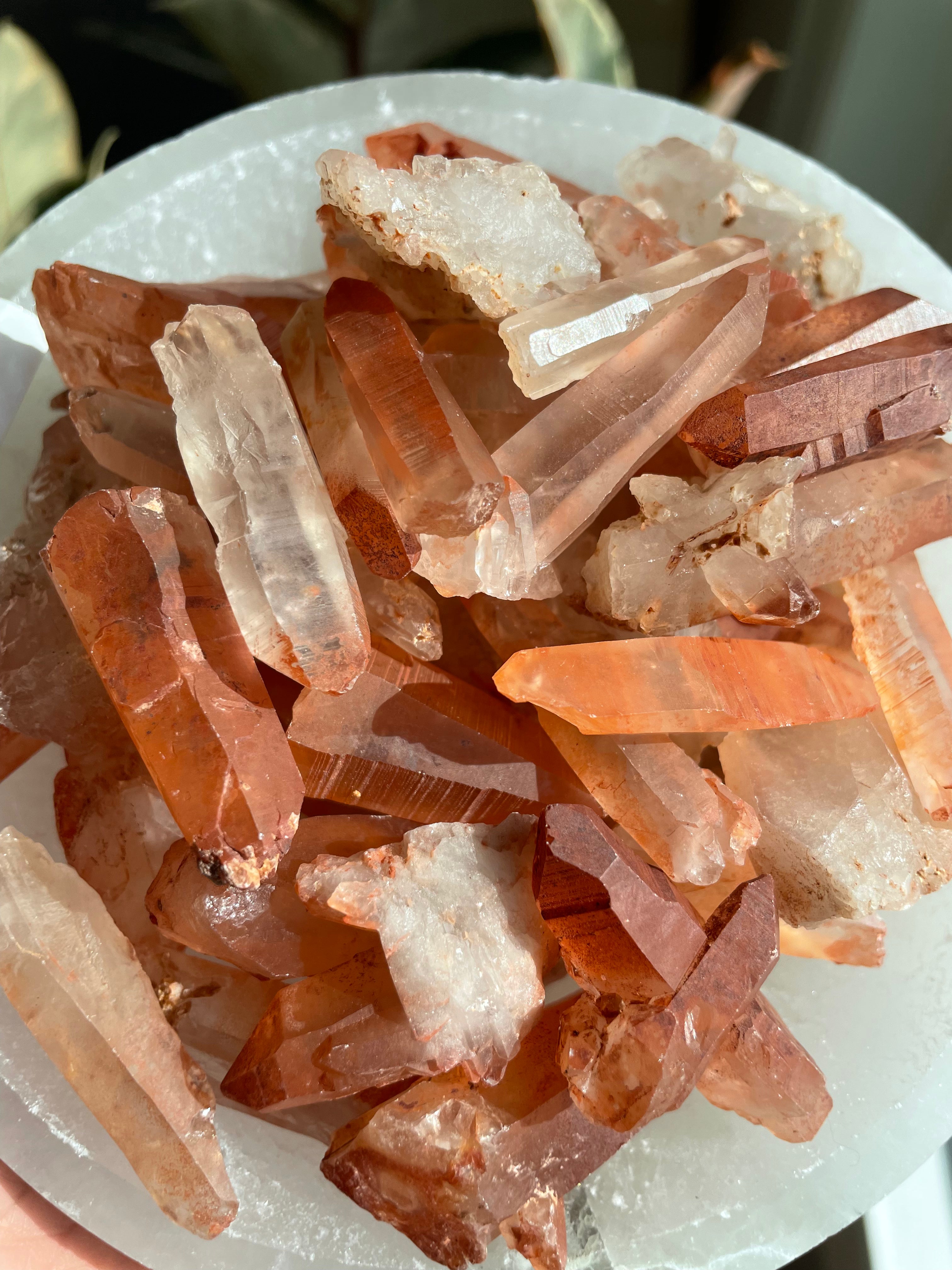Tangerine Lemurian Quartz Points