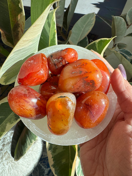 Large Carnelian Tumbled