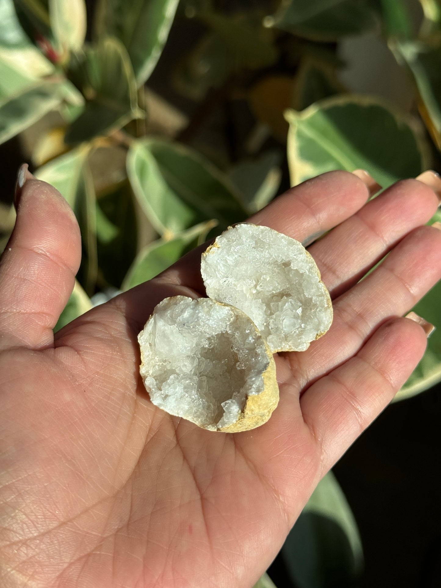 Mini Moroccan Calcite Geodes