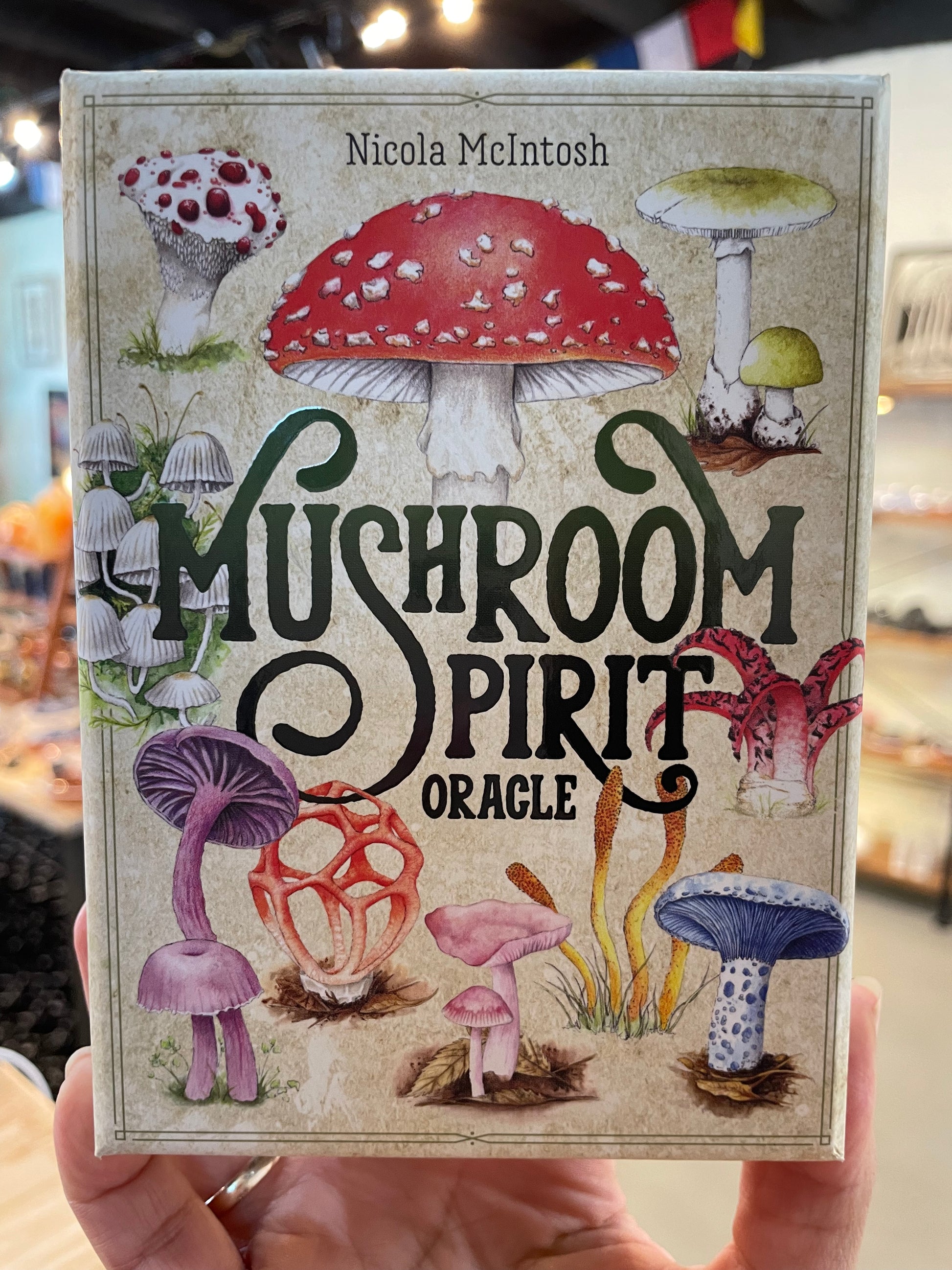 Mushroom Spirit Oracle - Luna Metaphysical