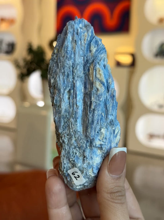 Rough/Raw Blue Kyanite