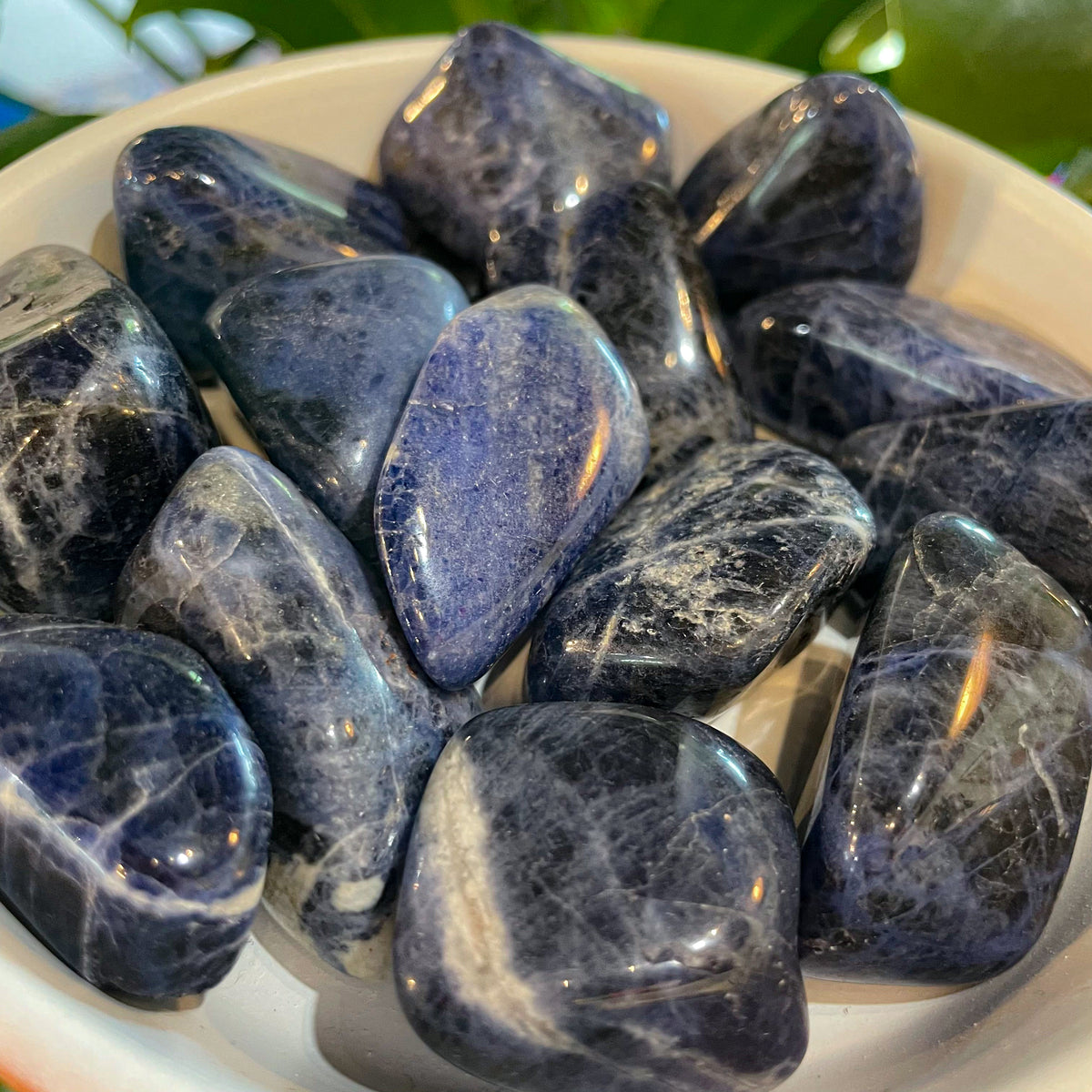 Sodalite - Luna Metaphysical